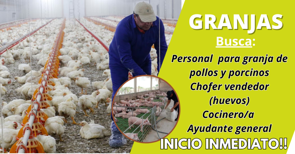 Granjas avícolas y porcinos necesita personal